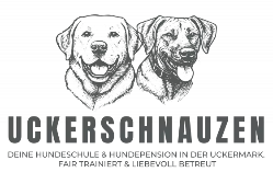 Uckerschnauzen - Hundeschule & Hundepension by LT web-solution Webdesign Neubrandenburg