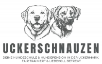 Uckerschnauzen - Hundeschule & Hundepension by LT web-solution Webdesign Neubrandenburg