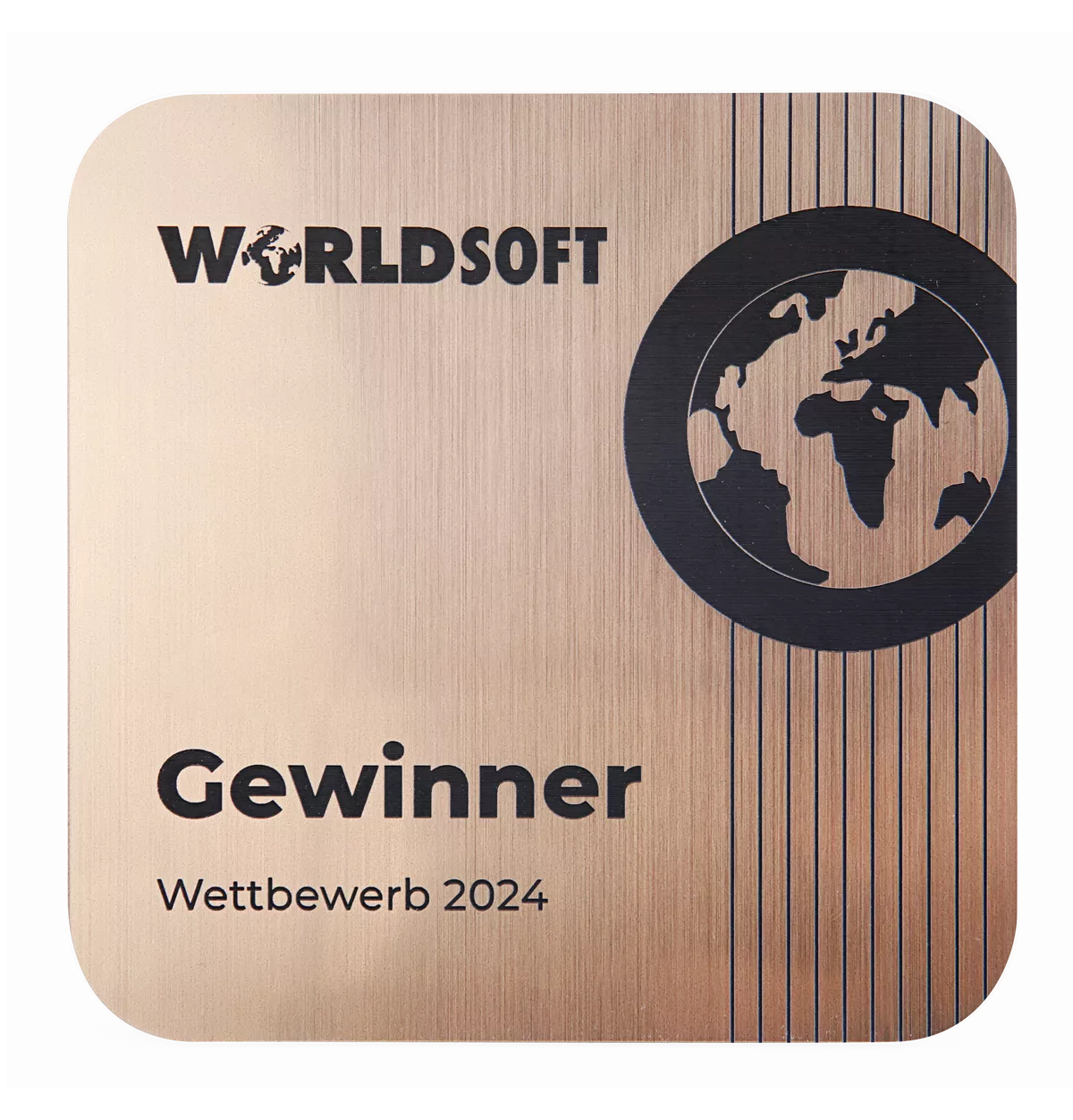 Worldsoft Gewinner Wettbewerb 2024 - Webdesign LT web-solution